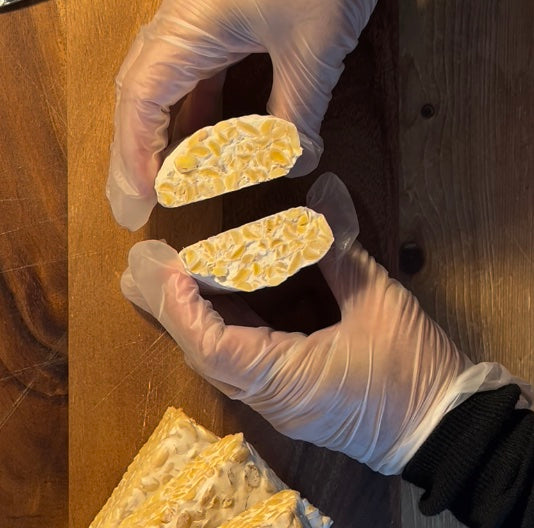 A close-up of hands wearing clear disposable gloves holding two halves of fresh tempeh. You can see a fine white network of mycelium grows through the beans and binds them together.
