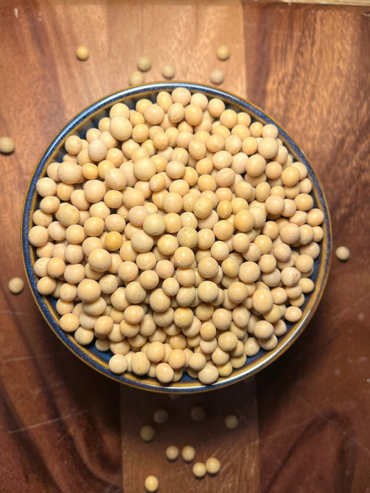 Meet Calon Tempeh: Our Journey to Making Tempeh in Wales