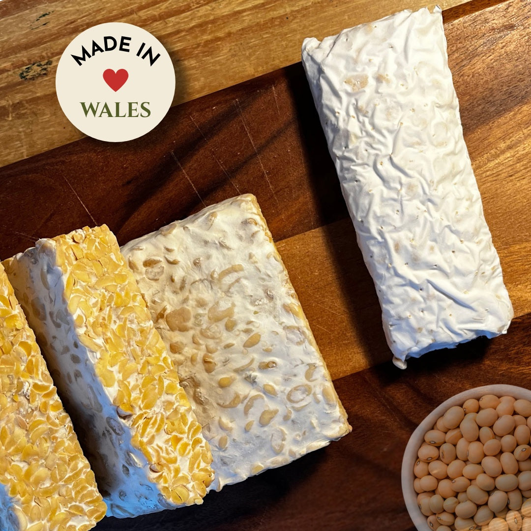 What Is Tempeh? A Beginner's Guide to This Fermented Food