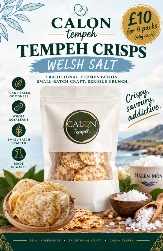 Calon Tempeh Crisps / tempe chips Welsh Salt. The central subject is a stand-up pouch of the product, flanked by bowls of the round tempeh crisps / tempe chips , coarse salt, and spices.